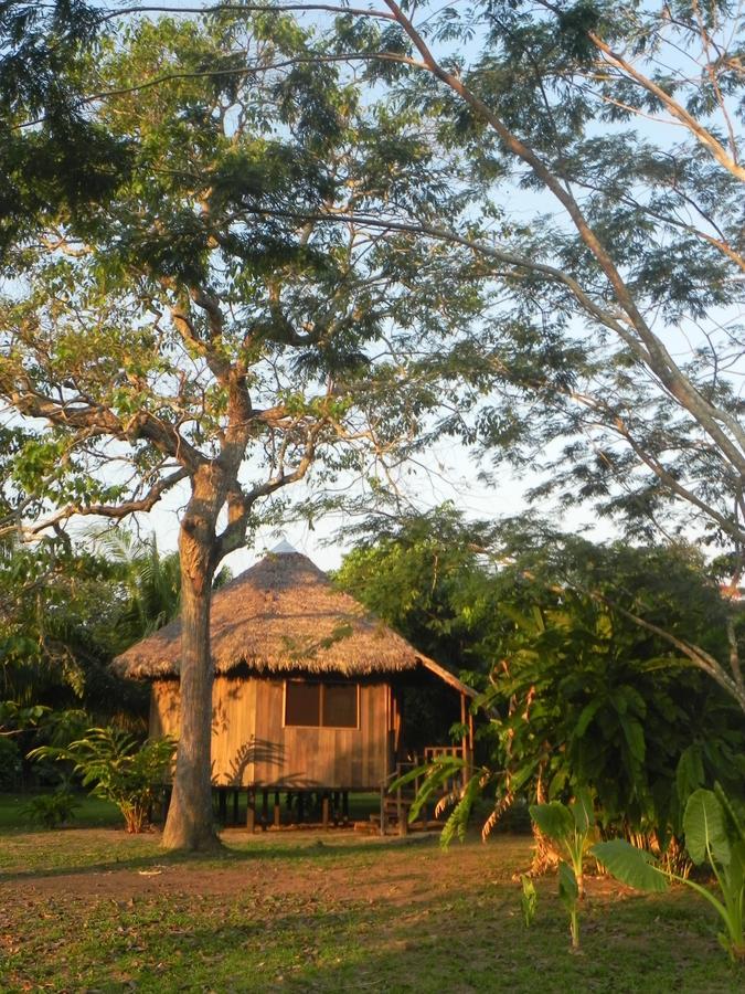 Green Diamond Amazon Lodge Puerto Maldonado Exterior foto